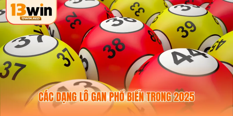 Các dạng lô gan phổ biến trong 2025