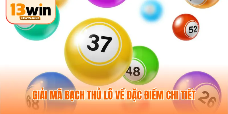 Giải mã bạch thủ lô về đặc điểm chi tiết