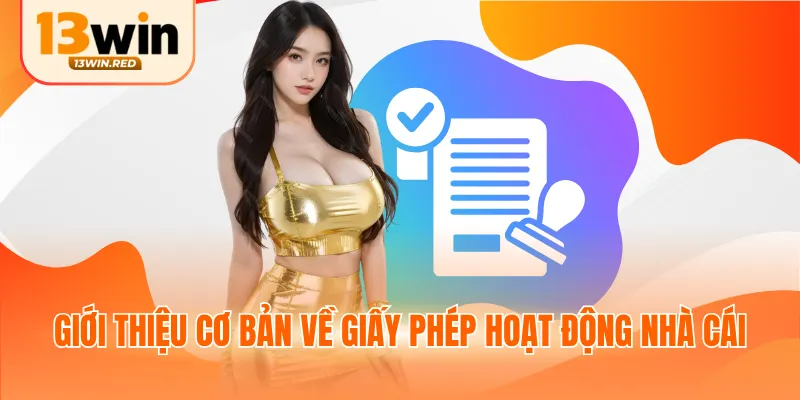 Giới thiệu cơ bản về giấy phép hoạt động nhà cái