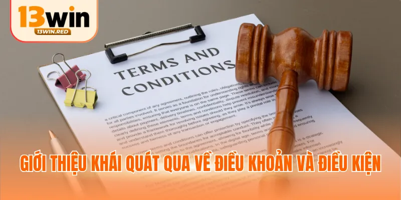 Giới thiệu khái quát qua về điều khoản và điều kiện