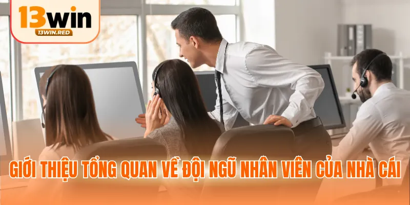 Giới thiệu tổng quan về đội ngũ nhân viên của nhà cái