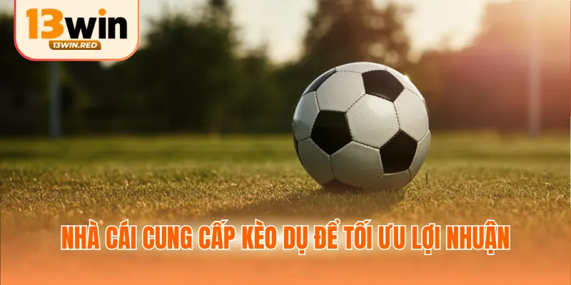 Nhà cái cung cấp kèo dụ để tối ưu lợi nhuận