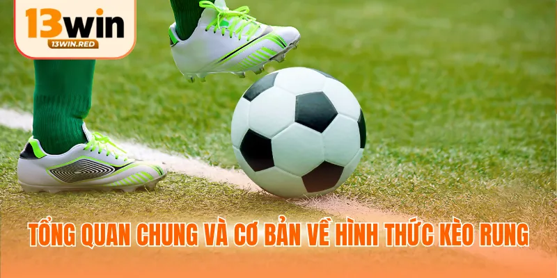 Tổng quan chung và cơ bản về hình thức kèo rung